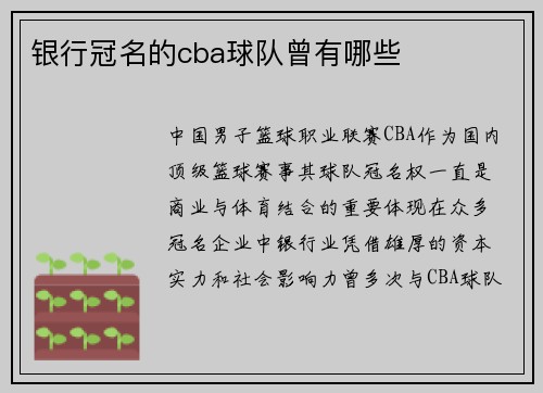 银行冠名的cba球队曾有哪些